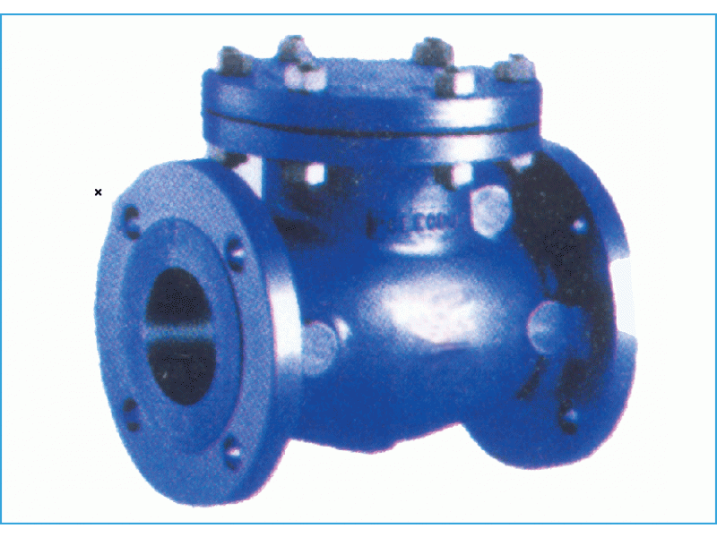 Válvulas de Retenção para Esgoto/Vinhaça